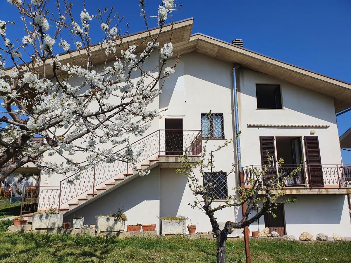 Casa Ciuffina Bed & Breakfast Civitella Casanova Exterior photo